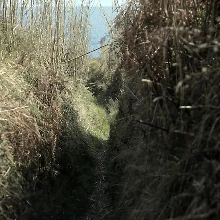 In With Air Conditioning, Wi-fi * Susak